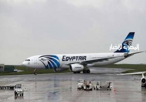مصر ترفض نتائج التحقيق الفرنسي بشأن الطائرة المنكوبة