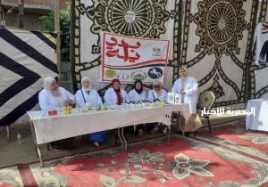 قافلة شاملة ضمن المبادرة الرئاسية "بداية" في قرية شبرا النملة بطنطا