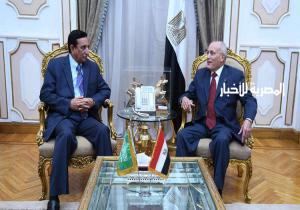 مفاوضات بين مصر والسعودية لاطلاق مشروع غير مسبوق و"حساس"