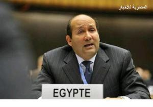"هشام بدر" فوز مصر بمقعد مجلس الأمن جاء تتويجا لجهود القيادة السياسية