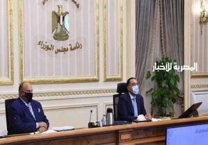 مجلس الوزراء المصري يُقر إقامة منطقة تجارية لوجستية في قنا
