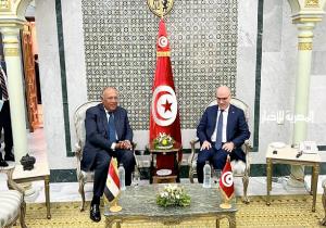 وزير الخارجية يؤكد دعم مصر لإجراءات وجهود الرئيس التونسي قيس سعيد لبناء مستقبل أفضل للشعب التونسي