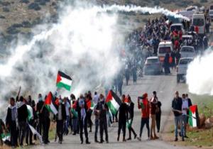 إيطاليا تدعو الاتحاد الأوروبى إلى الضغط من أجل إنهاء العنف فى غزة