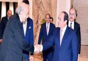 الرئيس السيسى يستقبل وليد جنبلاط.. ويؤكد حرص مصر على سلامة وأمن لبنان
