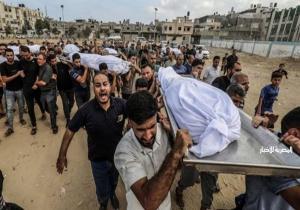 41118 شهيدًا و95125 عدد ضحايا العدوان الإسرائيلي على قطاع غزة منذ 7 أكتوبر