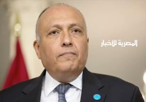 وزير الخارجية يستقبل نائب رئيس المجلس الرئاسي الليبي غدا