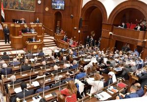 مجلس الشيوخ يطالب بوضع حوافز وضمانات لتشجيع المستثمرين في المجال الزراعي