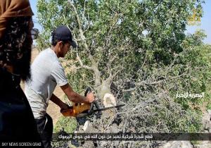 مقاتلو فصيل سوري "يعدمون".. شجرة