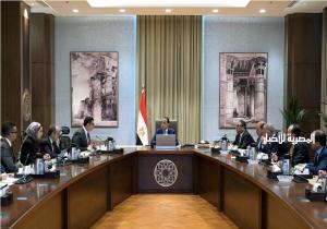 رئيس الوزراء: مصر مستعدة لتنفيذ أي مشروعات تنموية في الدول الإفريقية الشقيقة| صور