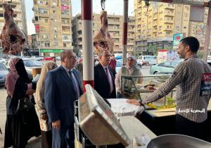 ضبط 3 أطنان لحوم مجمدة وأغذية فاسدة وتحرير 375 مخالفة في الدقهلية| صور