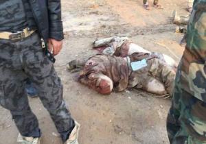 مقتل العشرات من داعش في "صلاح الدين"