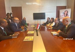وزير خارجية تنزانيا يشيد بالدور المصري البارز في دعم جهود التنمية داخل إفريقيا
