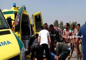 مصرع سائق "توك توك" في حادث تصادم على طريق (السنبلاوين - تمى الأمديد)