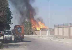 حريق هائل بمصنع كارتون فى برج العرب.. والدفع بـ20 سيارة إطفاء لإخماده