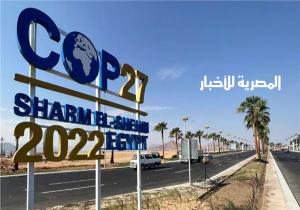 إطلاق مبادرة لزراعة 1200 شجرة بمدينتي العريش وبئر العبد تزامنا مع قمة المناخ COP27