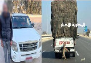 ماذا قال المتهم بربط «ثعلب» في صندوق سيارة على الطريق الصحراوي؟