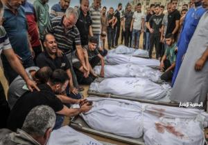 "صحة غزة": 31 شهيدًا خلال الـ 24 ساعة الماضية والحصيلة ترتفع إلى 35303 منذ بداية الحرب