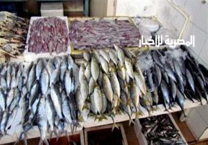 افتتاح 9 فروع متطورة في القاهرة والجيزة لتسويق الأسماك