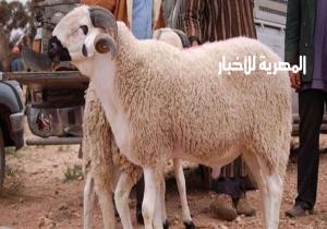 «الصحة العالمية» تناشد المسلمين باتخاذ التدابير عند ذبح الأضاحى