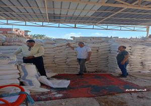 ضبط 25 طن ملح طعام و 5600 كجم لحوم مجمدة مجهولة المصدر و 577 عبوة مواد غذائية منتهية الصلاحية بالبحيرة