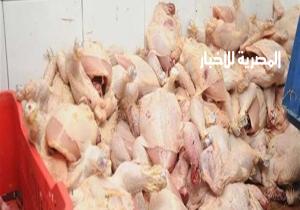 ضبط 7.5 طن أرز ودواجن فاسدة فى كفر الشيخ