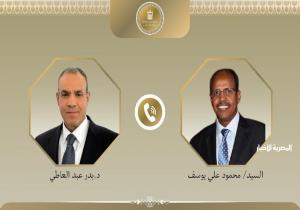 وزير الخارجية يؤكد عمق العلاقات التاريخية التي تجمع مصر وجيبوتي