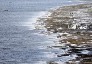 بحر لا قرار له تحت الصحراء الغربية قد يقي مصر الظمأ