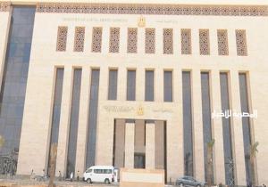 «التنمية المحلية × أسبوع».. لقاءات وزيارات ومتابعات على مدار الساعة | انفوجراف