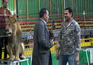 وداعاً الأسد المعمر ماريو
