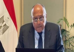 شكرى يبحث إنهاء الأزمة بين الفلسطينيين والإسرائيليين مع وزير خارجية ألمانيا