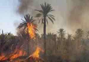 السيطرة على حريق هائل شب في مزارع النخيل بمدينة الداخلة فى الوادي الجديد