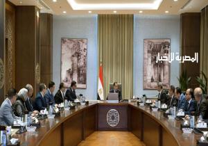 مدبولي يوجه بالاهتمام بأعمال البنية الأساسية والمرافق بمدينة سفنكس الجديدة وأن تكون لها شخصية مميزة | صور