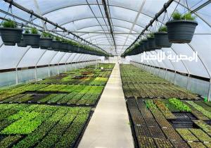 وكالة ألمانية: بدء تنفيذ برنامج «ابتكار» لدعم قطاع الزراعة في مصر