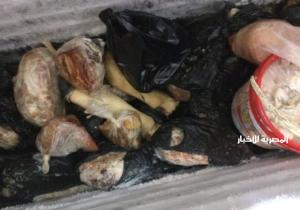 ضبط 300 كيلو لحوم مذبوحة خارج السلخانة في المنصورة