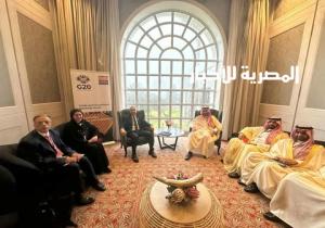 مصر تؤكد موقفها الثابت بدعم النظام التجاري متعدد الأطراف