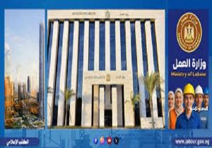 براتب 9000 جنيه.. «العمل» تعلن عن 105 وظائف جديدة