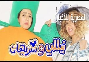 عضو برلمانى: بلاغ للنائب العام ضد أبطال مسلسل "نيللي وشريهان"