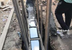تطوير المناطق العشوائية بمنطقة سندوب بالدقهلية وسوق ستوتة بالمنصورة / صور