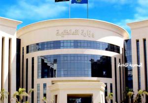 الأمن يضبط المتهمة بترويج الشائعات عن الشرطة عبر مواقع التواصل