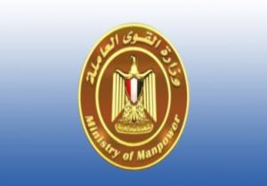 وزيرا القوى العاملة بمصر وليبيا يطلقان اليوم الربط الإلكترونى بين البلدين