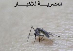 منظمة الصحة العالمية: فيروس "زيكا" قد يصل "مصر " الصيف القادم