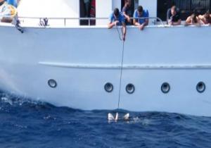 محافظ البحر الأحمر يكلف "المحميات" بالبحث عن مركب تلقى الأطعمة للقروش