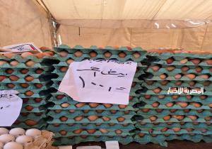 كرتونة البيض بـ 100 جنيه.. استمرار سوق اليوم الواحد بالمنصورة ومراكز الدقهلية