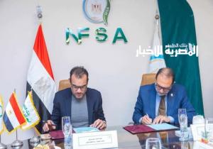 تعاون بين الهيئة القومية لسلامة الغذاء وبنك الطعام لتعزيز الحماية الاجتماعية للأسر الأكثر احتياجًا