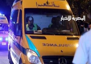 مصرع طالب وإصابة صديقه دهستهما سيارة بشارع الجلاء بالمنصورة
