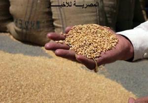 خطابات الضمان تؤخر شحنات القمح الفرنسي إلى مصر