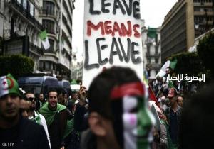 الجزائر.. بعد استقالة "الباء الأولى" هل يبدأ تأثير الدومينو؟