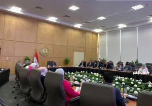وزير الكهرباء: جهود مكثفة لمكافحة سرقات التيار الكهربائي وتعزيز الربط مع السعودية