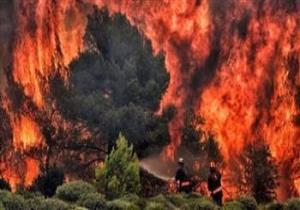 فرنسا: فرق الإطفاء تعلن السيطرة على حريق الغابات جنوب البلاد