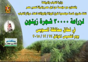 تعمير مصر تتحدى الإرهاب بزراعة الزيتون فى سيناء.